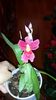 20151015_083516[1]