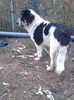 IMG_20151015_173837