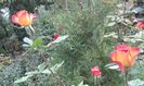 20151015_092207
