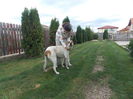 DSCN2706