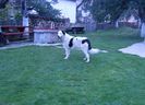 Fiona