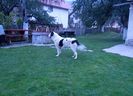 Fiona