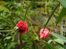 DSCN0970