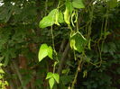 DSCN0971