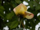 DSCN0980