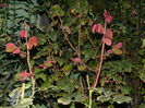 DSCN1001