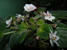 DSCN1036