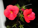 DSCN1037