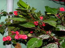 DSCN1043