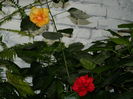 DSCN1089