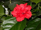DSCN1093
