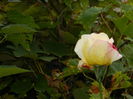 DSCN1155