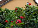 DSCN1159