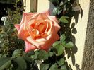 20151018_124440
