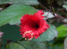 DSCN1233