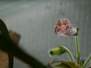 DSCN1234