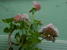 DSCN1235