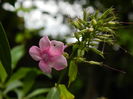 DSCN1243