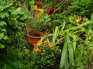 DSCN1244