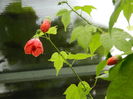 DSCN1249