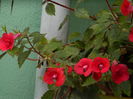 DSCN1251
