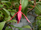 DSCN1253