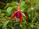 DSCN1255