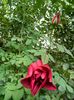 DSCN1265