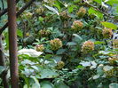 DSCN1270