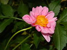 DSCN1271