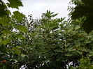 DSCN1281