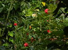 DSCN1289
