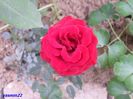SAM_0587