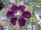 SAM_0589