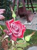 20150923_080551