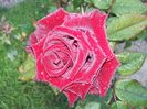 20150924_075332