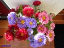 SAM_1198  sep.2015