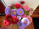 SAM_1200   sep.2015