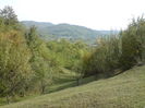 DSC01003