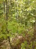 DSC01026