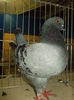 DSCN1374