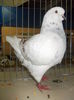 DSCN1376
