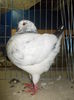 DSCN1377