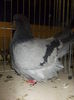 DSCN1381