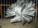 DSCN1387