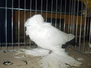 DSCN1392
