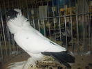 DSCN1440