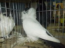 DSCN1442