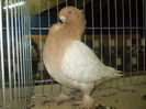 DSCN1448