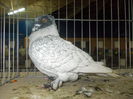 DSCN1454
